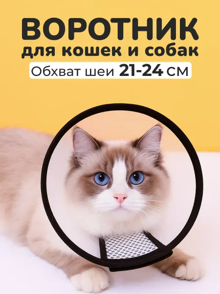 Защитный воротник для кошек и собак после операций