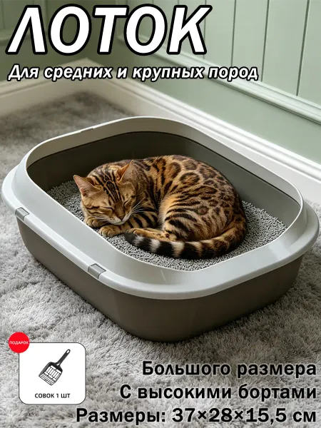 Туалет для кошек средних пород компактный с совком высокими