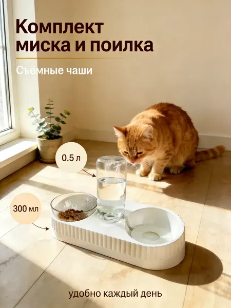 Миска для кошки с двойной чашей，Местный склад
