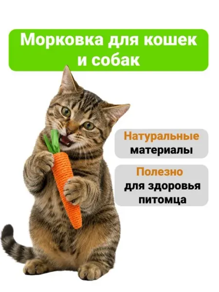 Игрушка когтеточка для кошек морковка с погремушкой