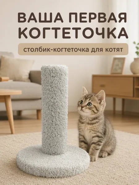Моя Котя Когтеточка, для котят