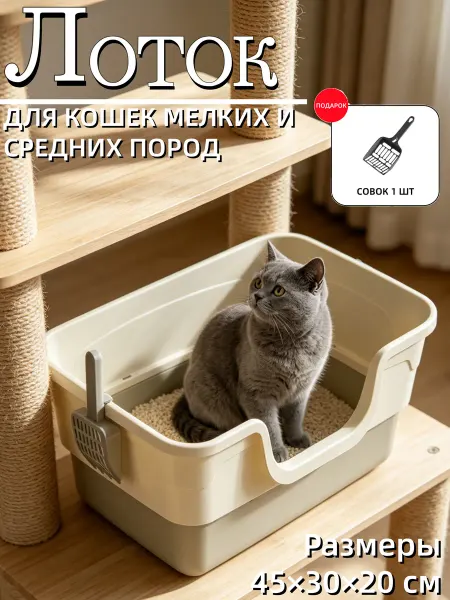 Компактный лоток для маленьких котят