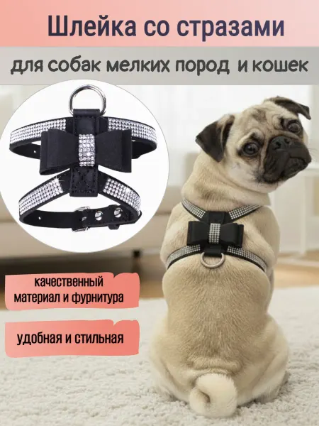 Стильный кот Шлейка для собак со стразами