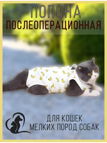 КОТаNyshKa Попона для кошки послеоперационная