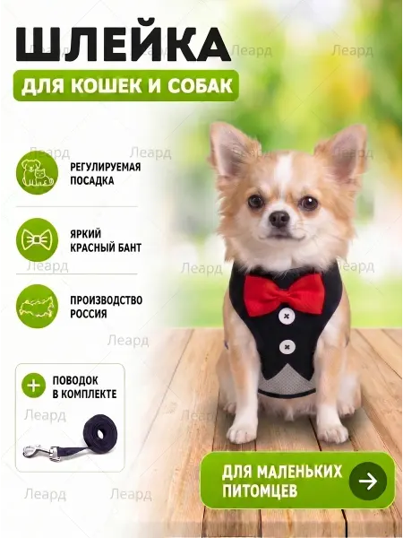 Леард Шлейка для мелких собак кошек котов шпица с поводком