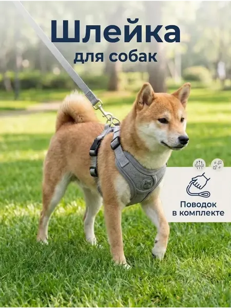 Шлейка для собак кошек средних и крупных пород с поводком