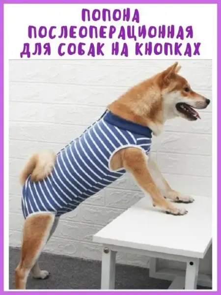 Собаки & Кошки ПОПОНА послеоперационная ДЛЯ СОБАК