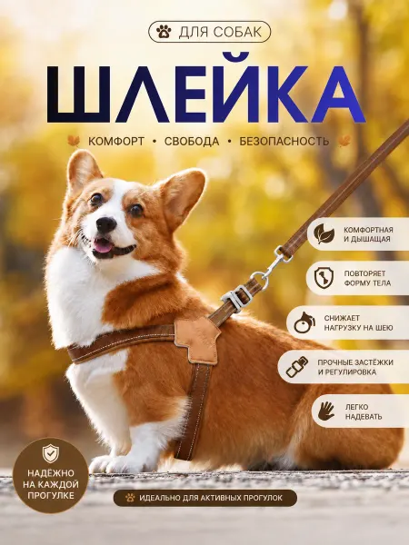 Шлейка облегченная для собак мелких, средних и крупных пород