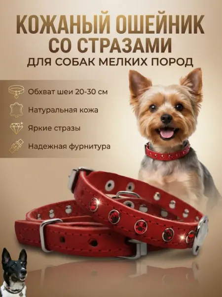 Надежный Малыш Ошейник для собак со стразами