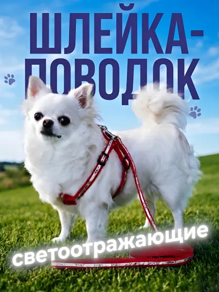 Светоотражающий комплект шлейка-поводок 120 см красный