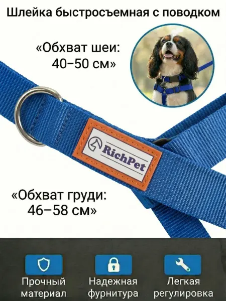 RichPet Шлейка быстросъемная с поводком, синий