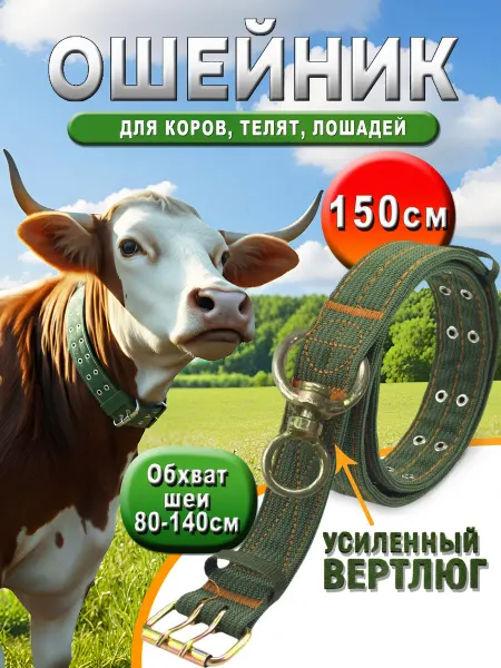 HitZen Ошейник для КРС, лошадей, телят, коров, быков 150 см