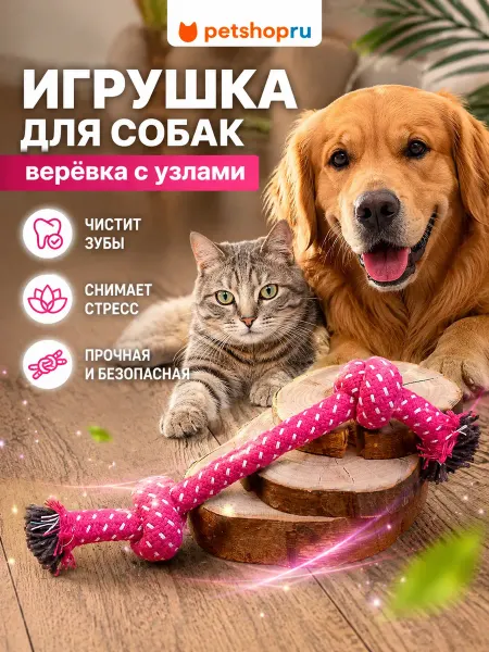 PetShop Игрушка для кошек и собак канат “Силач”, 22 см