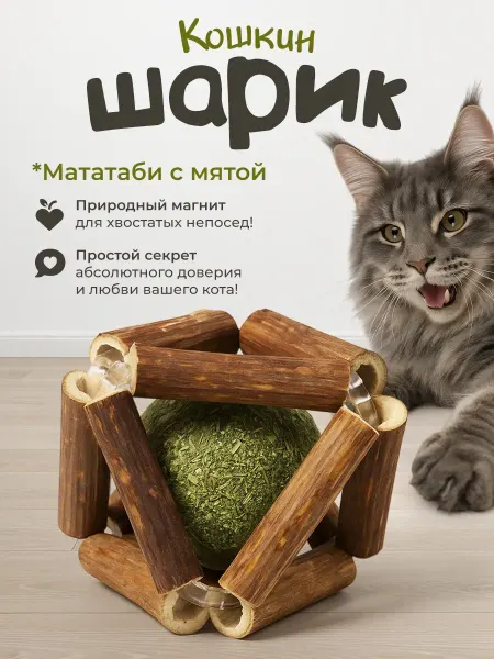 DPzoo Игрушка для кошек мататаби с мятой 2в1