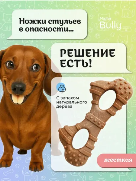 MisterBully Игрушки для собак мелких пород и щенков грызак набор 2в1
