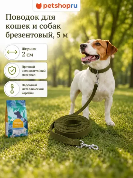 Yami-Yami поводок брезентовый,карабин, 5м х 2см