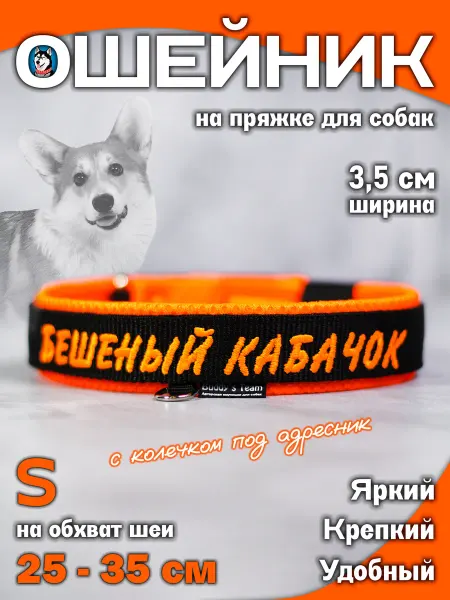 Ошейник для собак Бешеный кабачок 3 5 см S Buddy Team