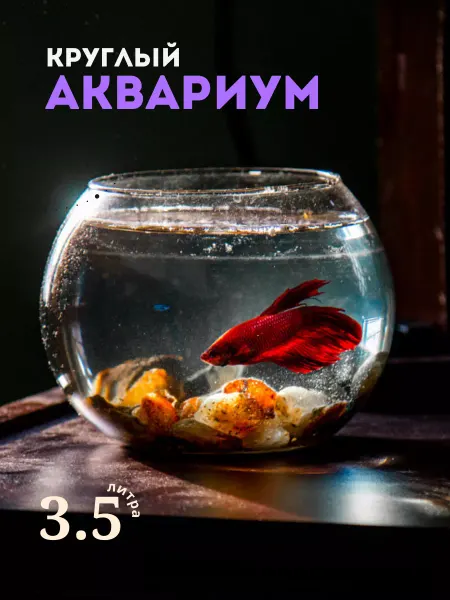 ZooAqua Аквариум круглый плоскодонный 3,5 л
