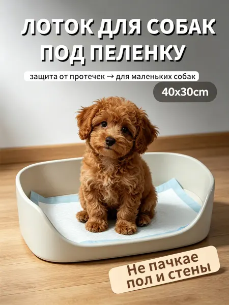 Лоток для собак под пеленку с бортиками мелких пород 40*30