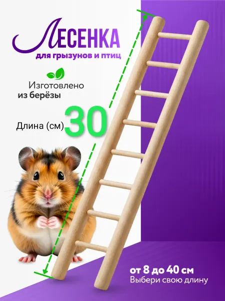 SK62 Лесенка для грызунов и птиц 30см "Стандарт"