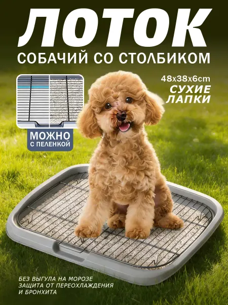 Лоток для собак под пеленку 48x38x6