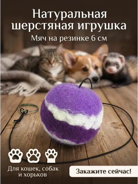 LIVEZOO Мяч на резинке для кошек и собак 6 см