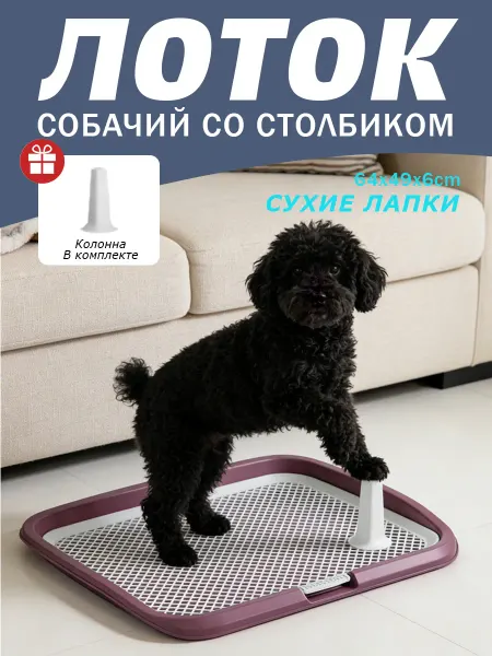Лоток силиконовый для собак под пеленку 64х49х6см