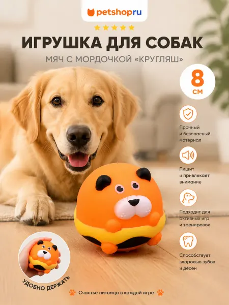 PetShop Игрушка для собак мяч с мордочкой "Кругляш", 8 см