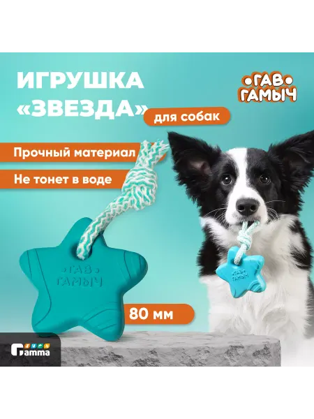 GAMMA Игрушка для собак "Звезда с веревкой", 8см