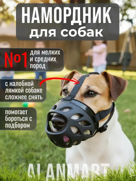 ALANMART Намордник для собак мелких пород, джек рассела, пуделя
