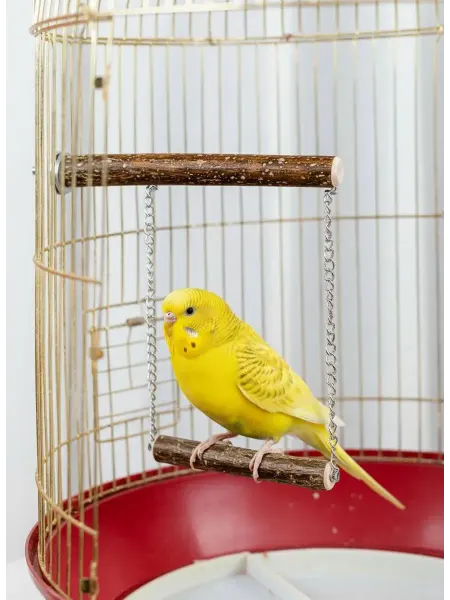 Animal Toys Go Качели для птиц "Дуэт" из натуральной лещины (орех)