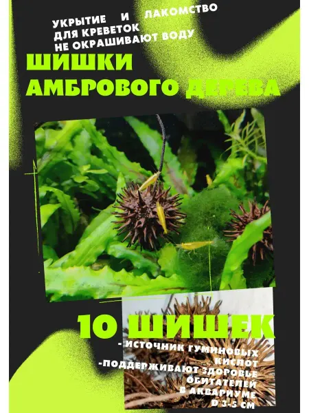Aqua Fish Шишки амбрового дерева Кондиционер для воды Укрытие