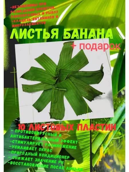 Aqua Fish Листья банановой пальмы