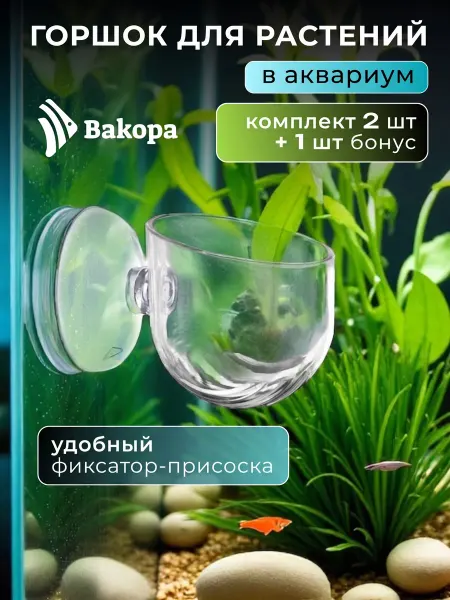 Bakopa Горшок в аквариум для растений