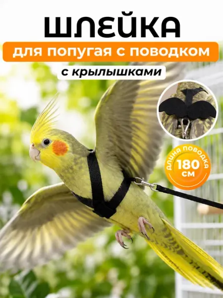 Big Jungle Шлейка с поводком для попугая волнистого корелла аксессуар