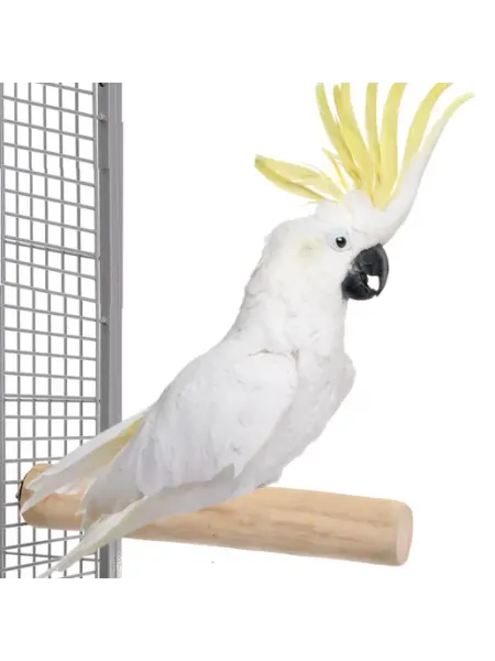 Happy bird Жердочка для птиц Ветвь кофейная