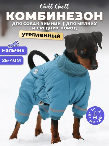 Комбинезон для собак зимний Chill Choll для мелких пород уте