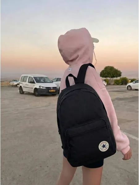 CONVERSE Рюкзак школьный спортивный конверс