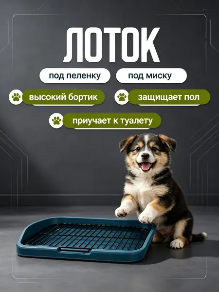 DDSTYLE Туалет для собак с колонной, приучение к горшку