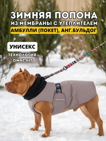 Rain Dog Попона жилет зимний для собак амбулли, английский бульдог