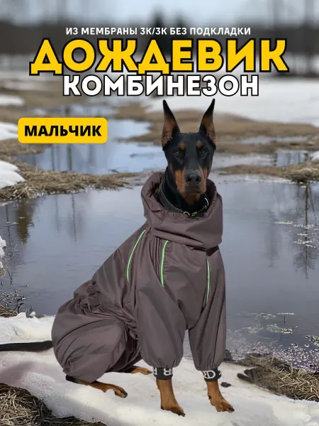 Rain Dog Комбинезон-дождевик для собак "Торнадо" мужской шоколад