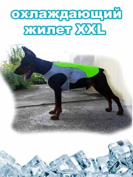 Dog-60 Охлаждающий жилет для собак XXL