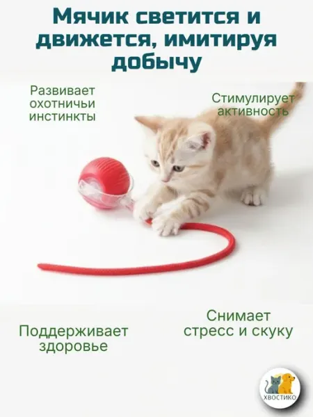 DYH-coco Игрушка для кошек интерактивная, умный мячик с хвостиком