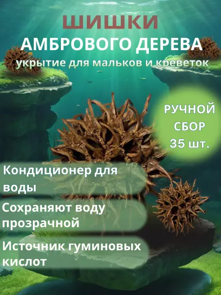 ECO store Шишки Амбрового дерева 35 штук