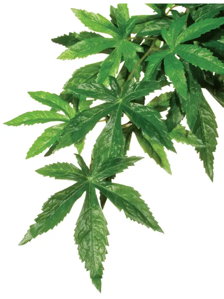 EXO TERRA Jungle Plants растение пластиковое подвесное Абутилон