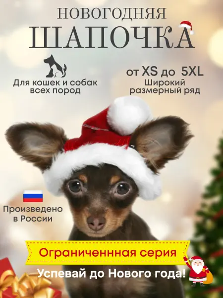 G-ELSE Новогодняя шапка для собак и кошек Дед Мороз