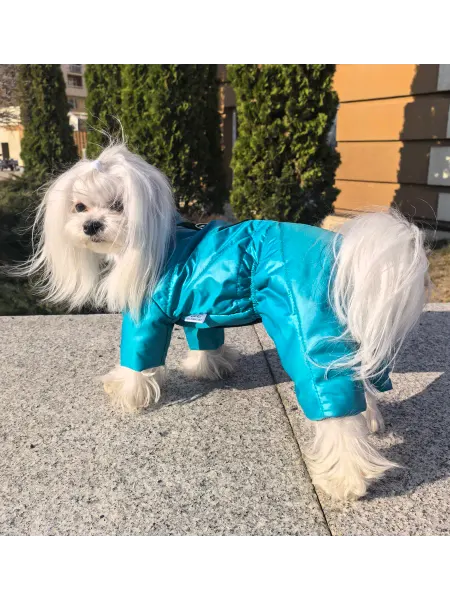 GlamCat Демисезонный комбинезон для собак