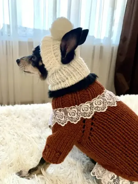 Kapa Style новогодняя шапка с помпоном для собак мелких пород и кошек