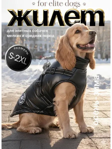 KMpets Жилет для собак мелких пород