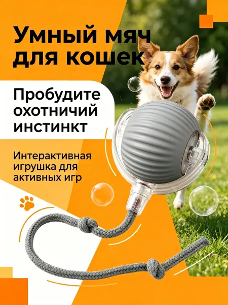 KotoSHOP Игрушка для кошек интерактивная, небольших собак умный мяч